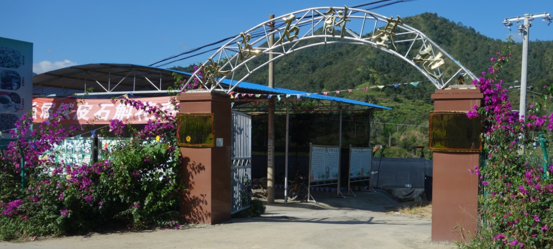 推薦攀枝花市同豐斛農(nóng)業(yè)開發(fā)有限公司