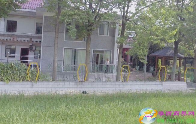 中國工程院院士家門口的試驗田。&nbsp; 湖南雜交水稻研究中心研究員 辛業(yè)蕓 圖