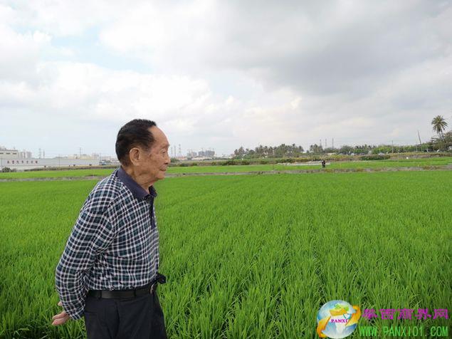 雜交水稻國家重點實驗室副主任 吳俊 圖